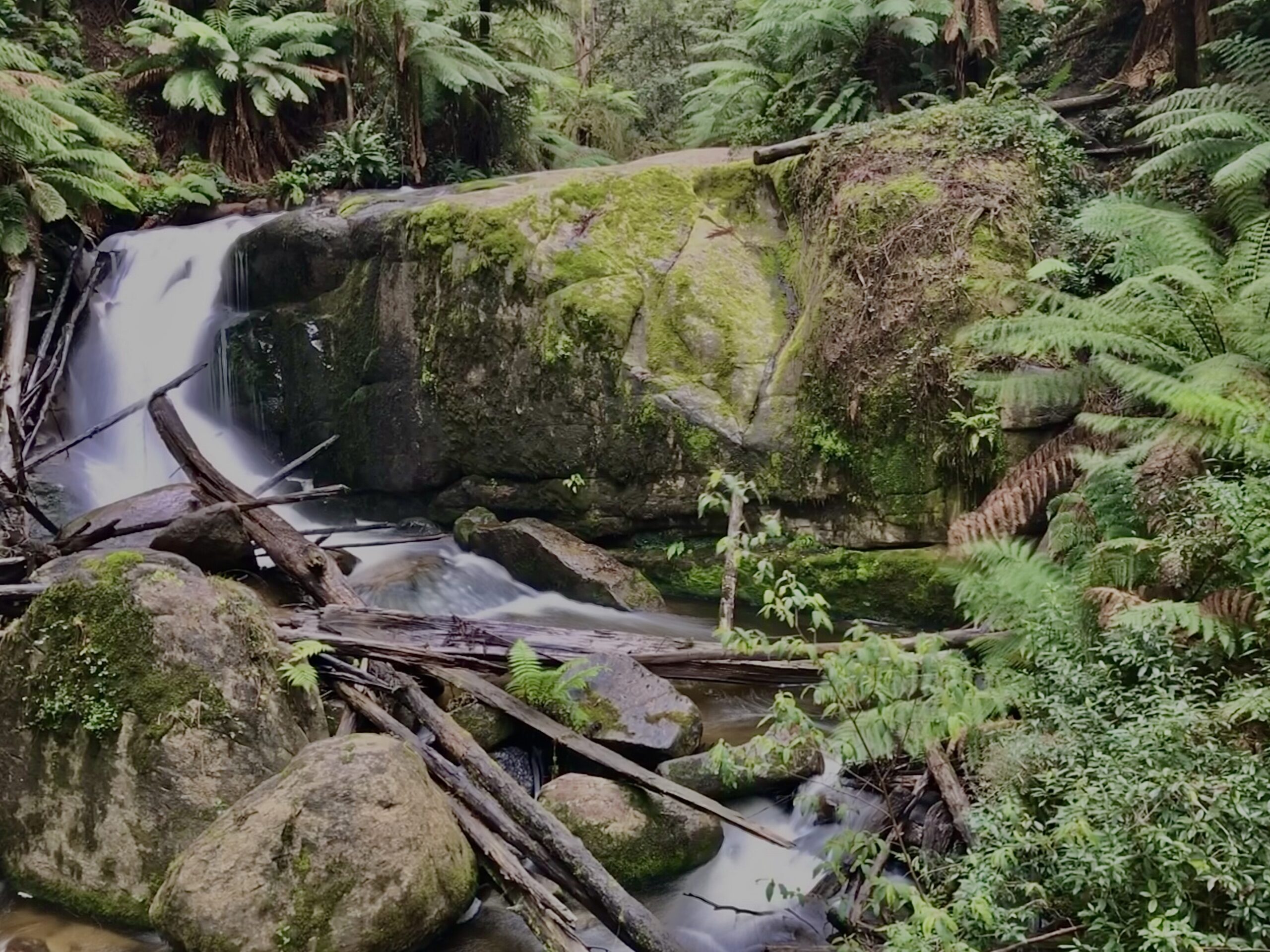 Amphitheatre Falls Gippsland