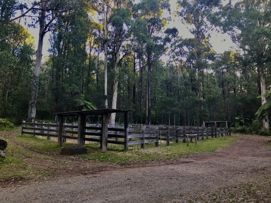 Anderson Mill Campground Horse Yards