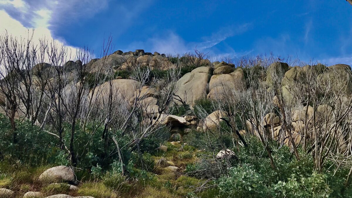 Ascending Along The Horn Hiking Track