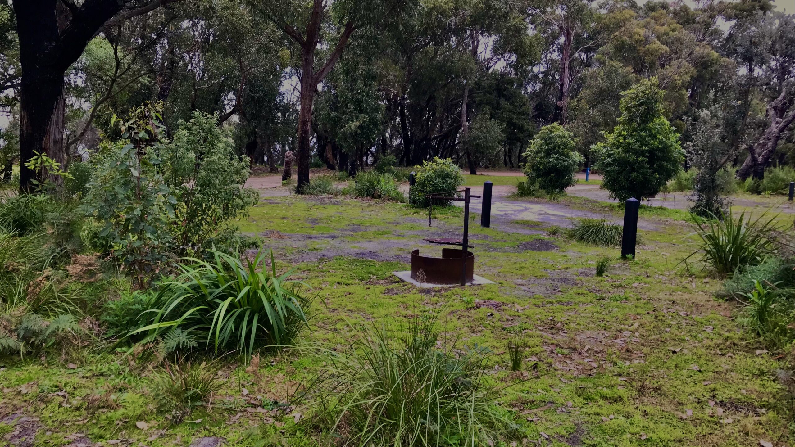 Banksia Bluff Campground