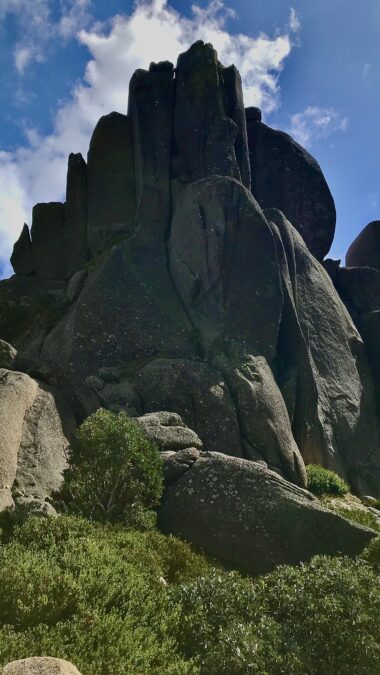 Cathedral Rock Portrait