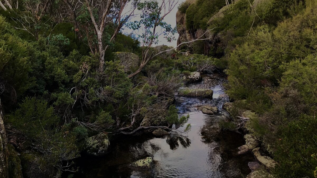 Crystal Brook Mount Buffalo