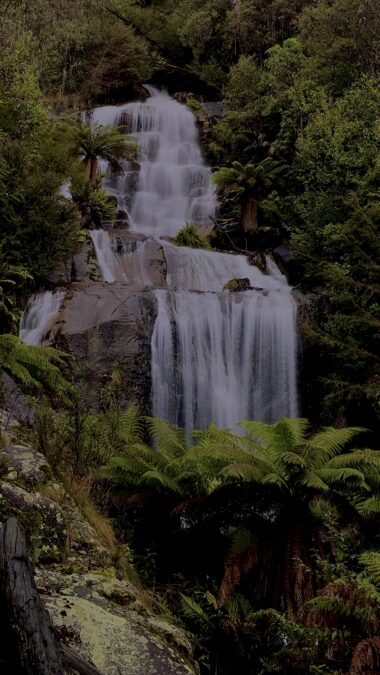 Fainter Falls Portrait Alpine National Park