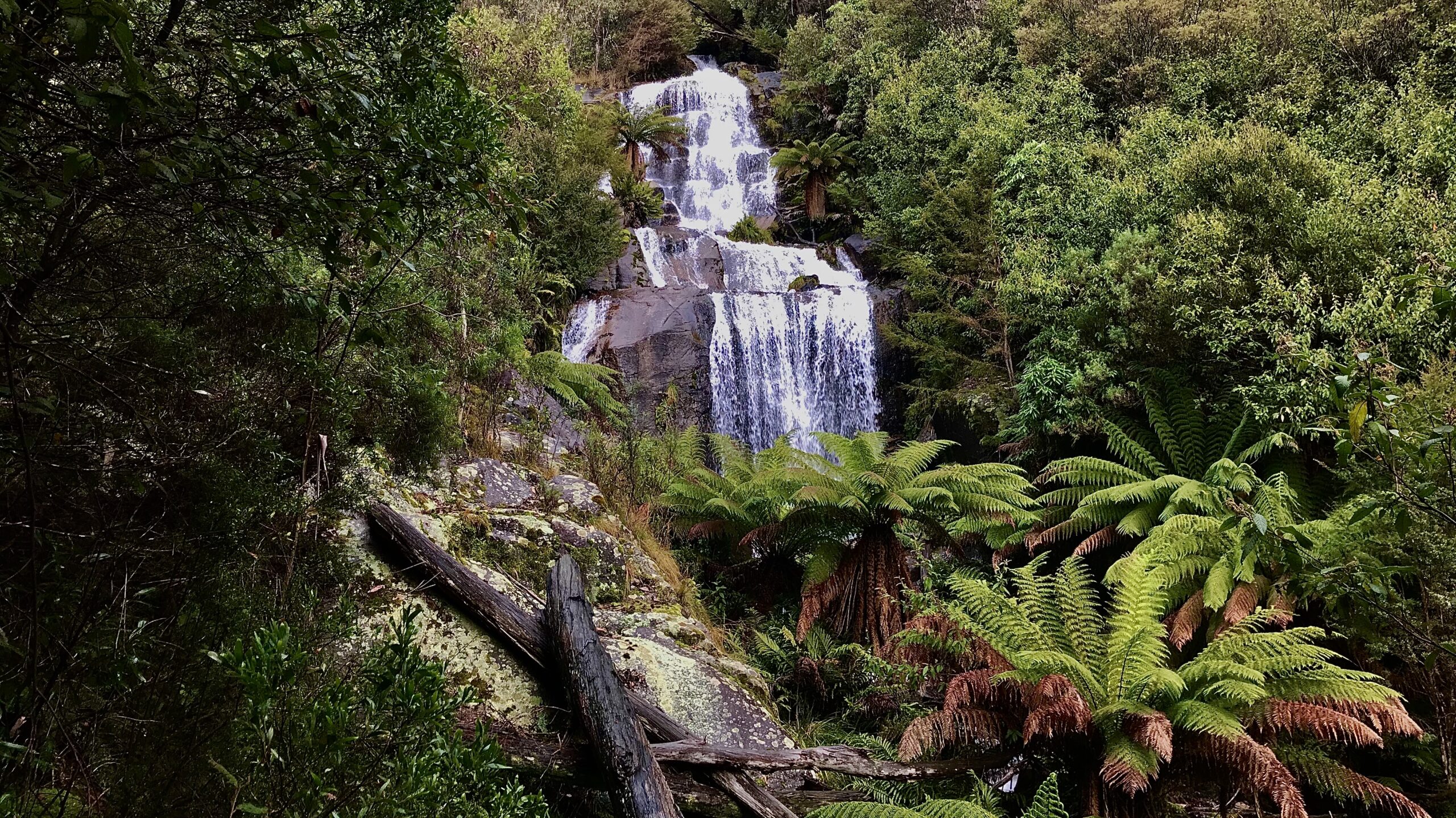 Fainters Falls Alpine National Park