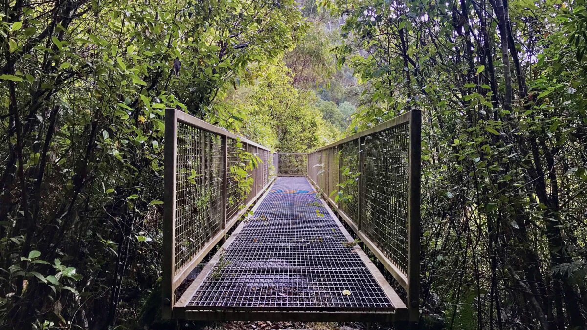 Hiking Track Walkway Fainters Falls