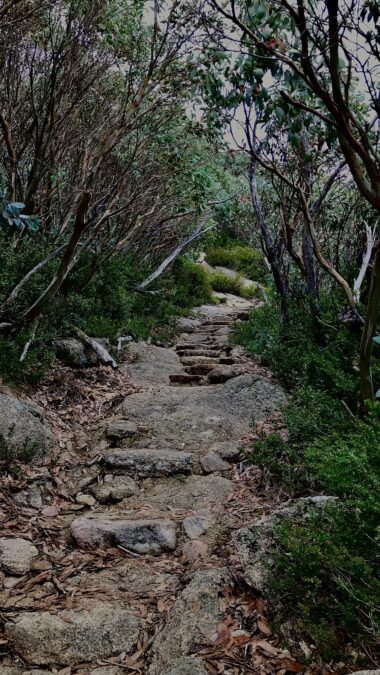 Hiking Track to Cathedral Rock