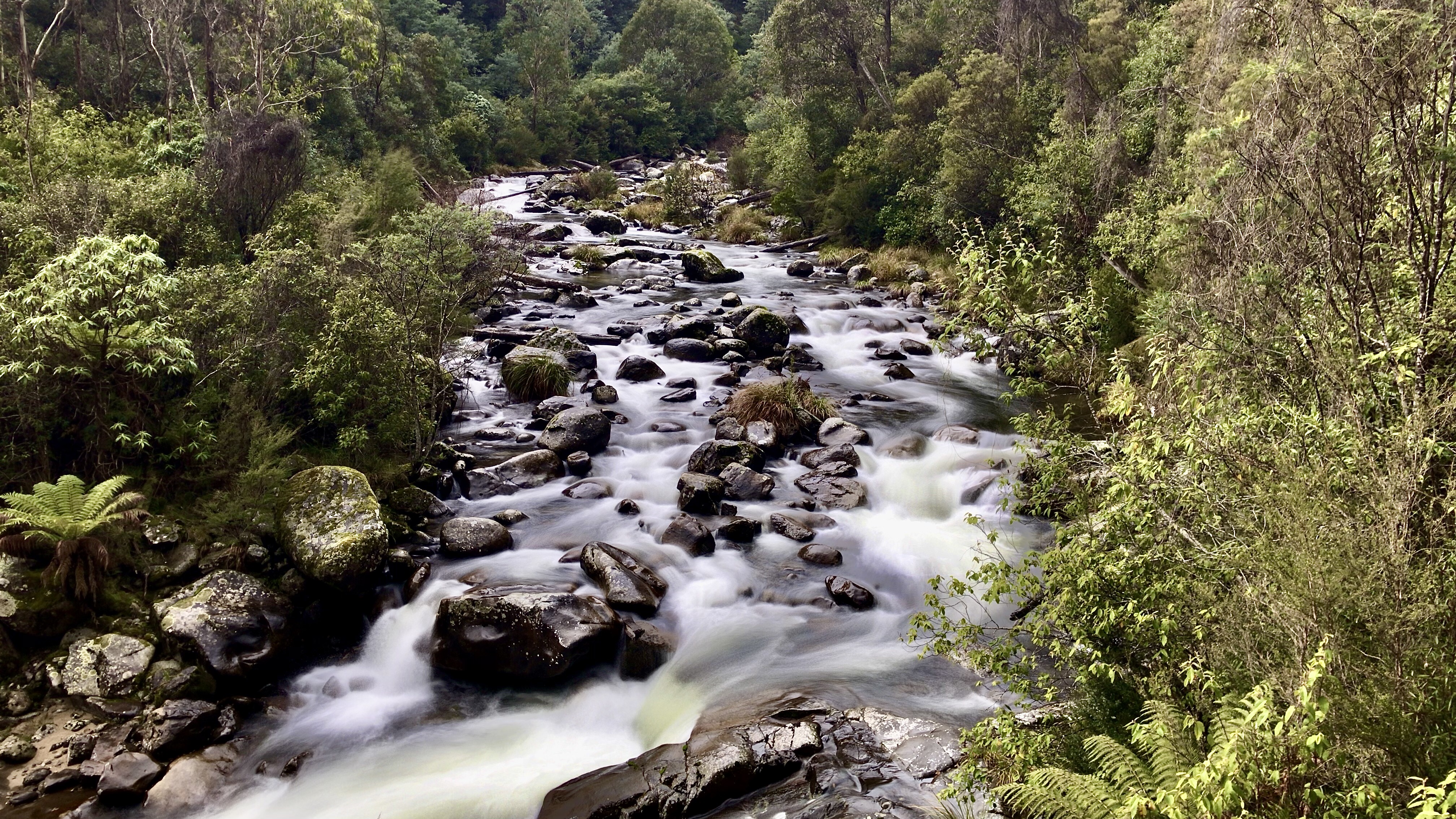 Kiewa River Alpine National Park