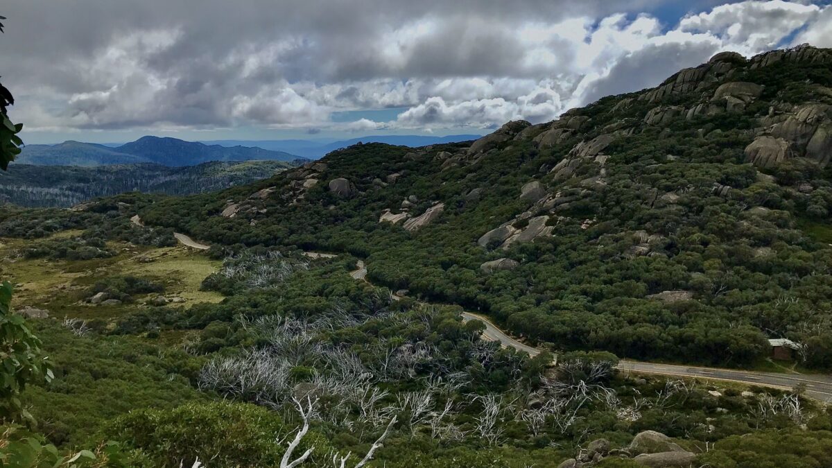 Mount Buffalo Road from the Hump Hiking Track