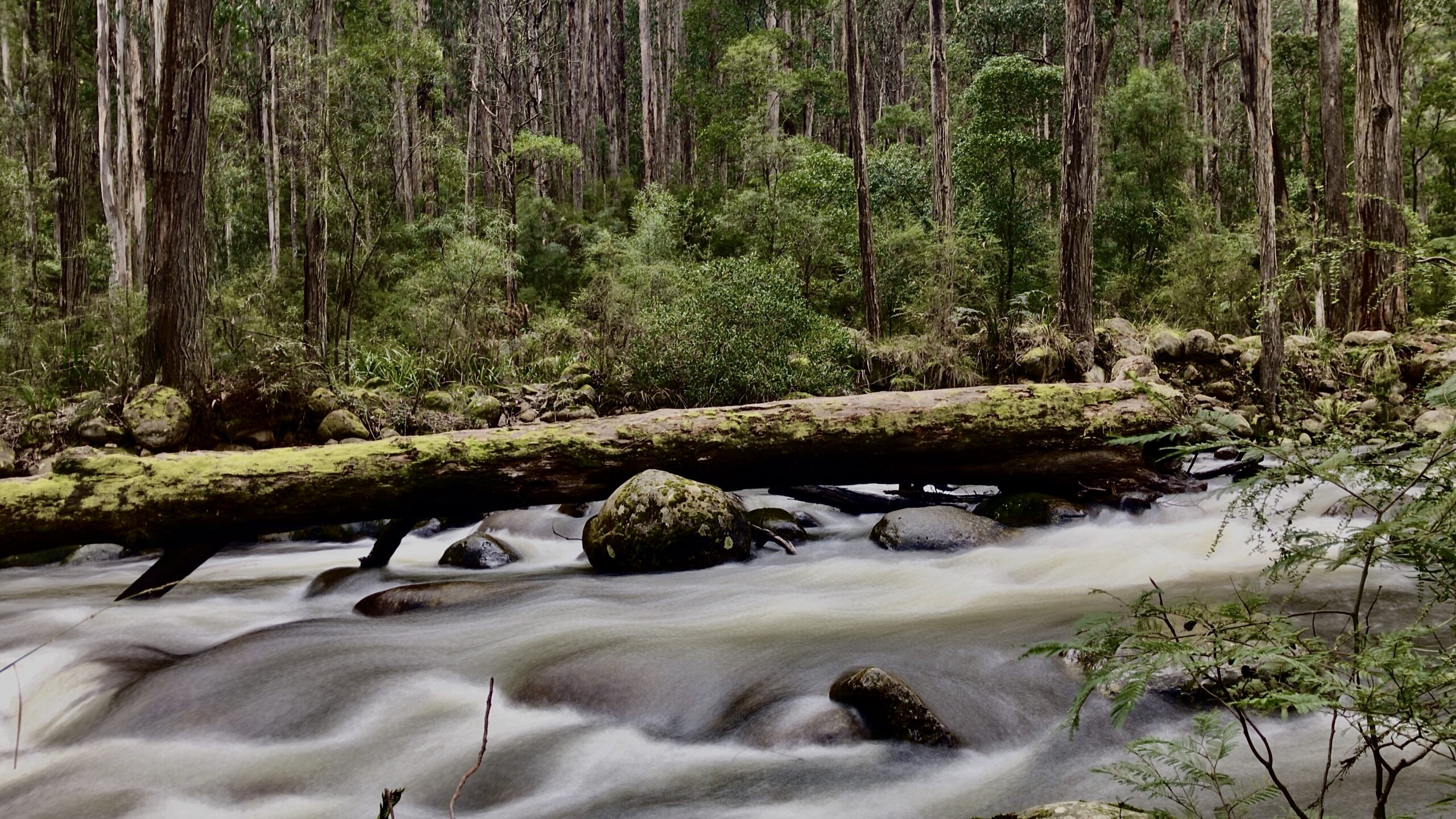 Rubicon River Victoria