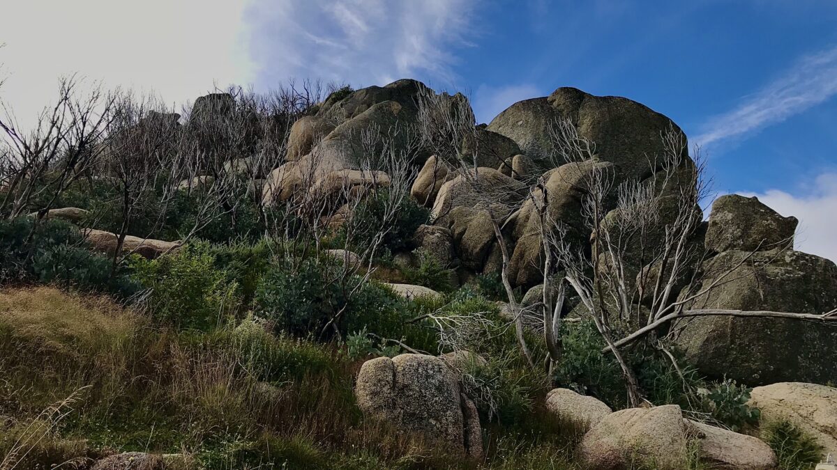 Some of Many Granite Features