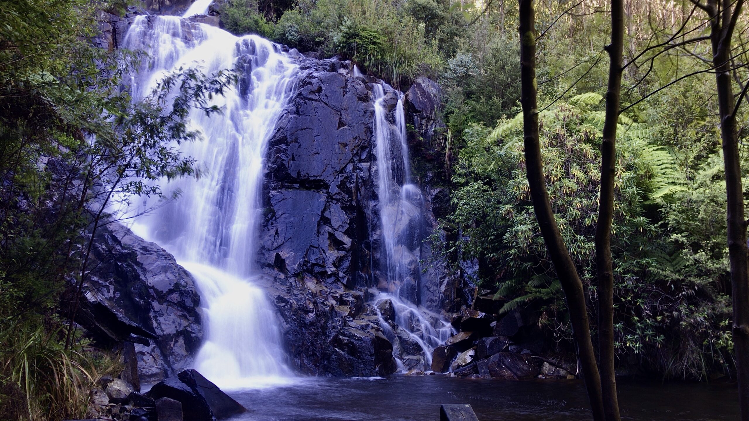 Steavenson Falls Marysville