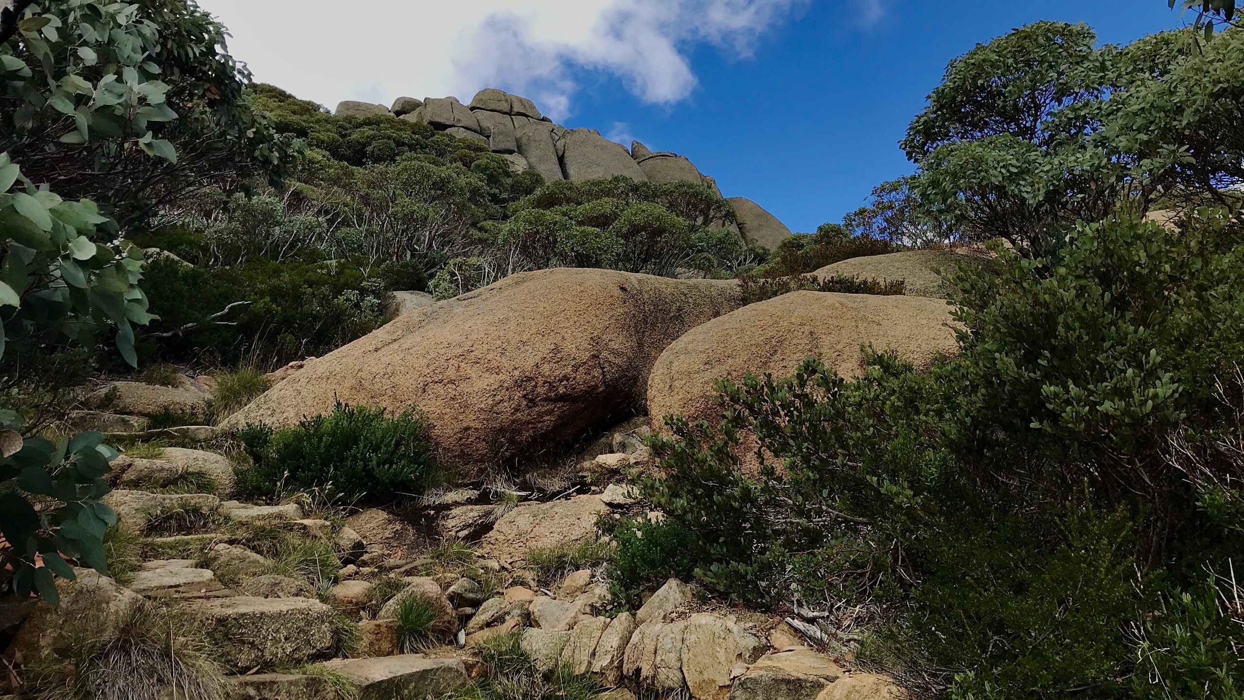 The Hump Mount Buffalo