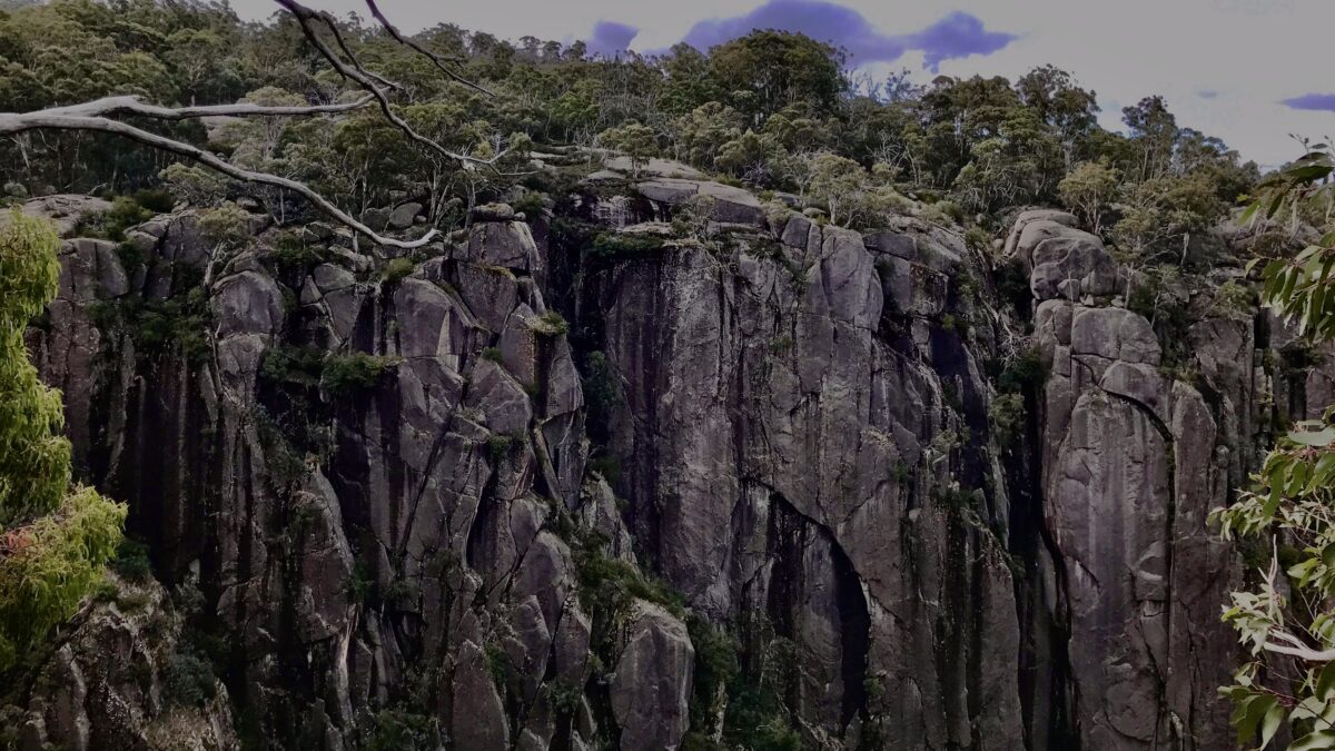 The Gorge Wall Mount Buffalo