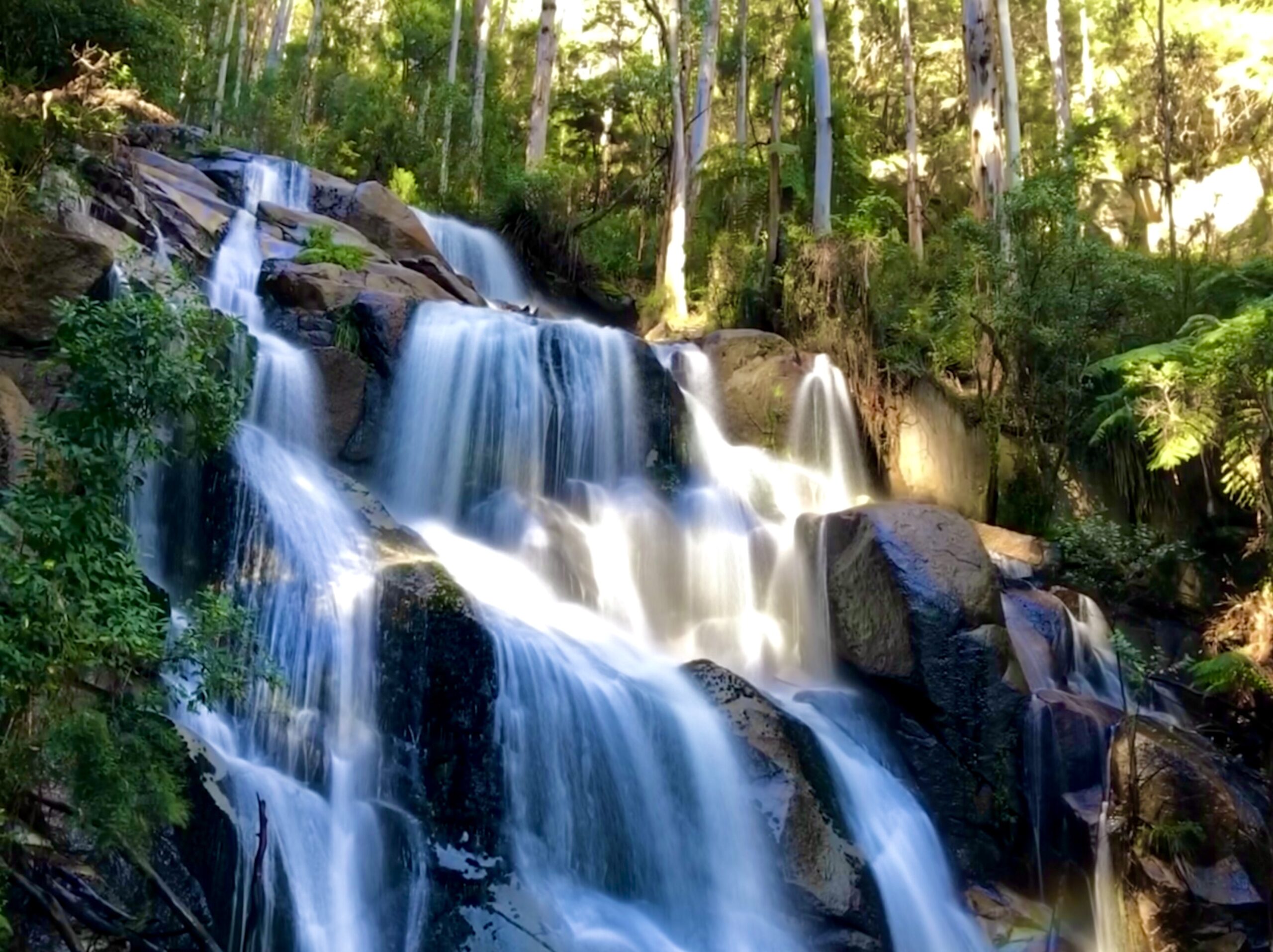 Tooroongo Falls Gippsland