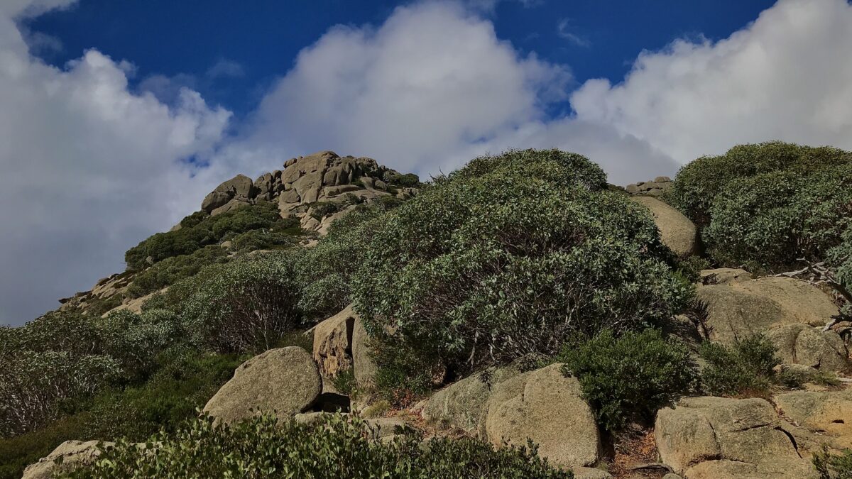 View of The Hump from Cathedral Rock