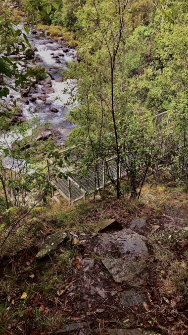 Viewing Platform Kiewa River